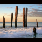 Kůly ze starého mola