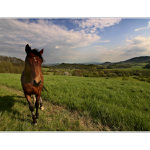 ...z toulek po Čechách...