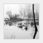 Smutná krajina... I.