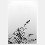 Smutná krajina... II.