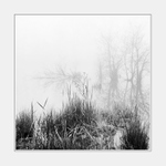 Smutná krajina ... V.