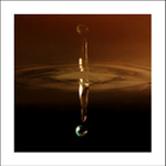 .: Drop Down :.