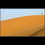 /// Chebbi Walker Ranger ///