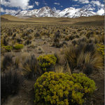 Nevado Chachani