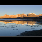 Lauca P.N.