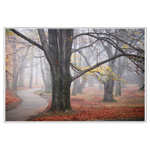 Ráno ve Stromovce...