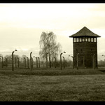 Birkenau...