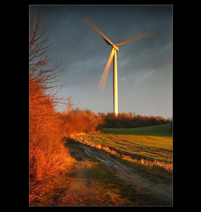 .: STRÁŽCE V POLI :.