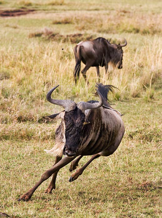 - v klopené zatáčce -