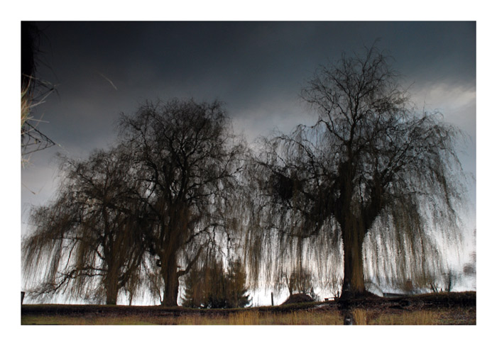 melancholia
