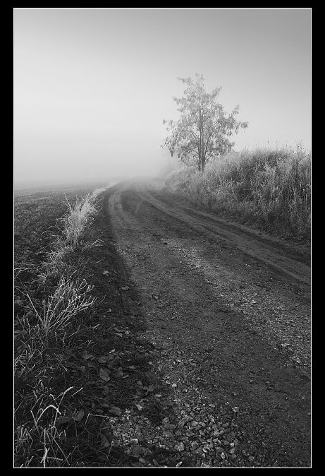 Foggy day 2