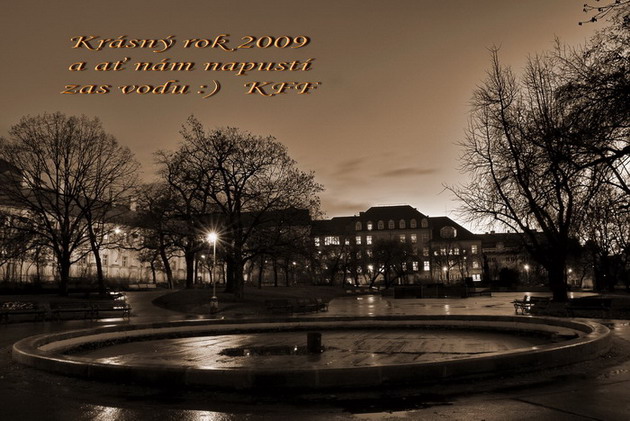 PF 2009