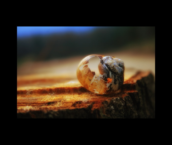 To remember 2