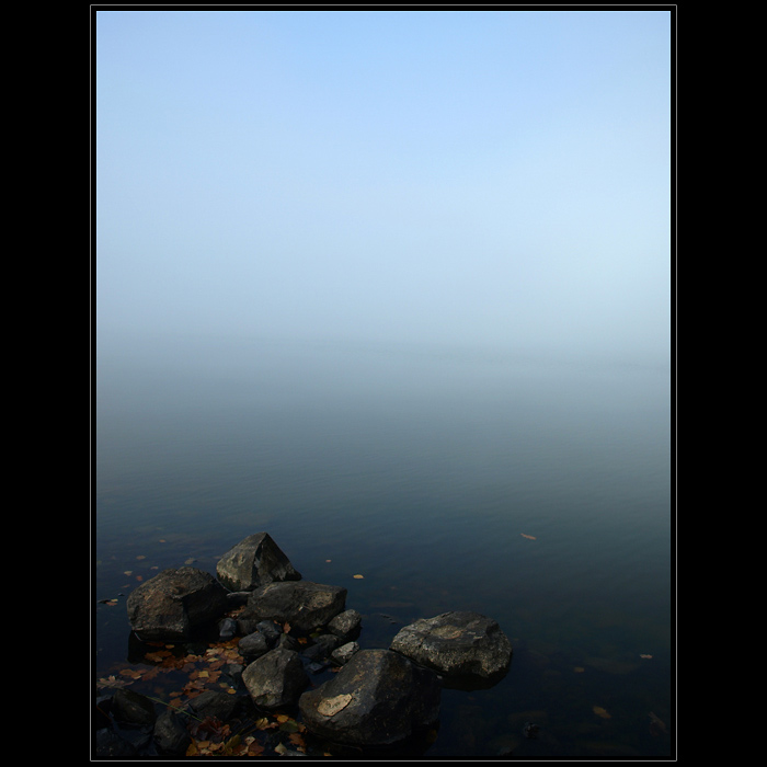 The Mist