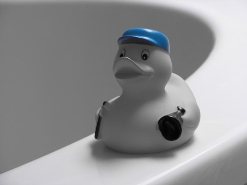 DUCK