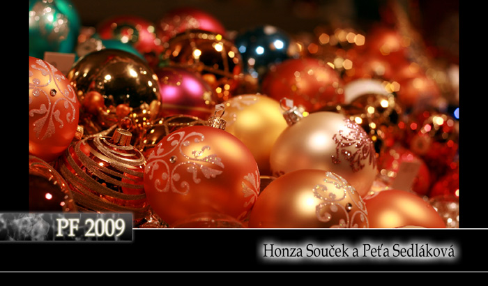 PF 2009