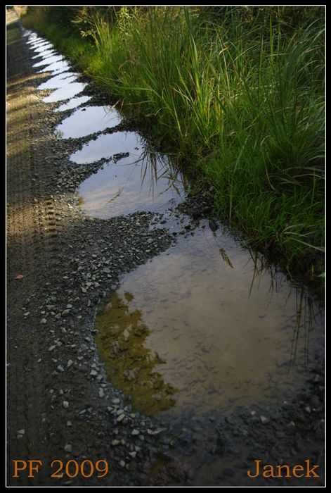 PF 2009