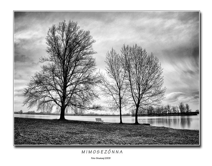 Mimosezónna