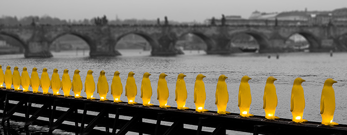 pinguins at Prague