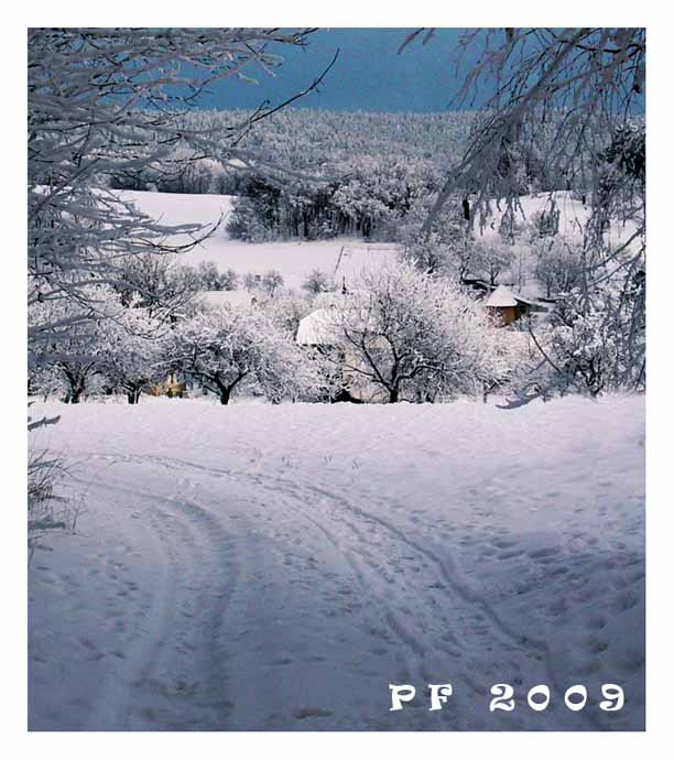 Krásné svátky všem