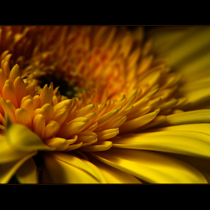 ***POHLED DO NITRA***