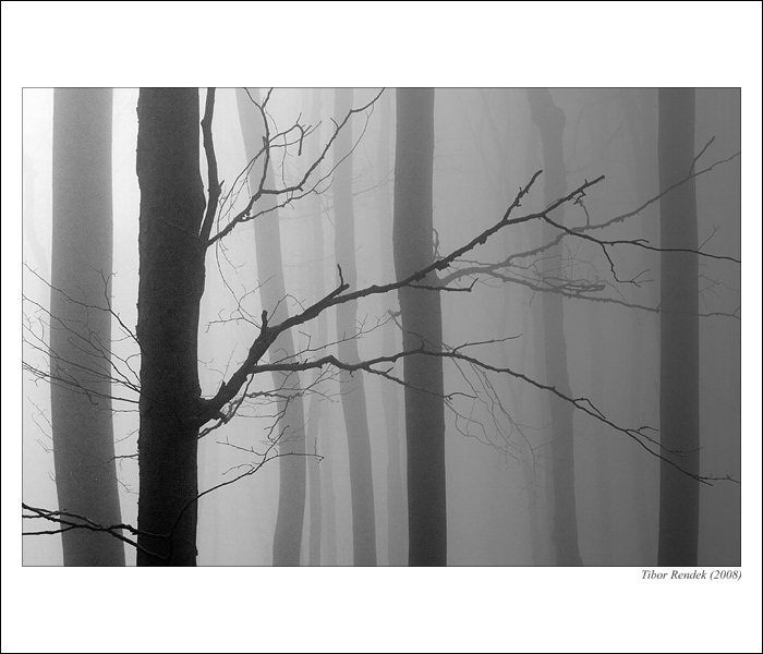 karpatské hmly III.