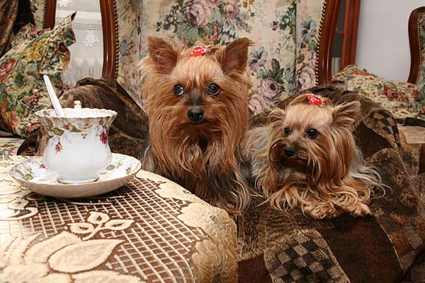 to kafíčko je bez mlíčka to nechci