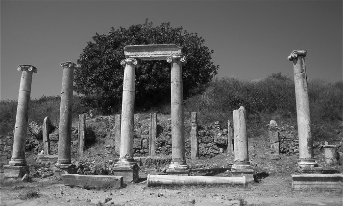 The witnesses of time - VIII