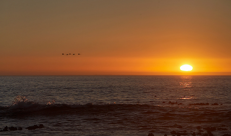 Vzpomínky na Afriku