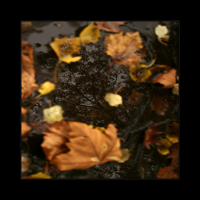 ...narcismus...