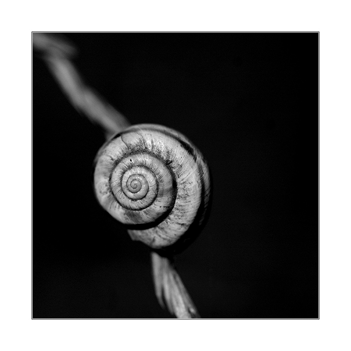 = Geometrická masturbace =