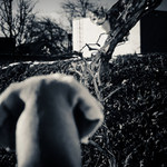 nice_to_meet_you_my_friend