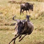 - v klopené zatáčce -