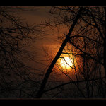 Jednoho dne zimu opět porazím...