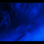 Ve snech ukrytá 7 ...