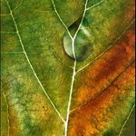 .........................