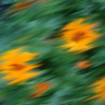 Takhle vidím svět, když se vracím z hospody