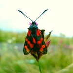 Stojím tu jak tvrdé ý...