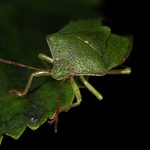  ten co přichází ze tmy