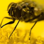 Nice to meet you again