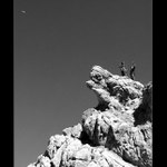 Po vlastních už to výš nepůjde