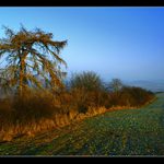 *** O hlavu kratší... ***