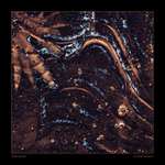 Ľadová jeseň III.