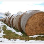 Na tyhle se zapomnělo...