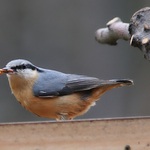 nenechám vám ani jednoho!!