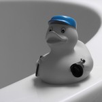 DUCK