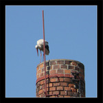 hernajs kam mě to jen spadlo!