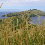 Tam, kde nevedou žádné cesty...