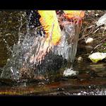 Tady někomu poteče do bot.