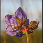 neotáčej se zády :-)